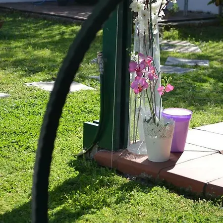Il Giardino Di Lucy Bed & Breakfast *